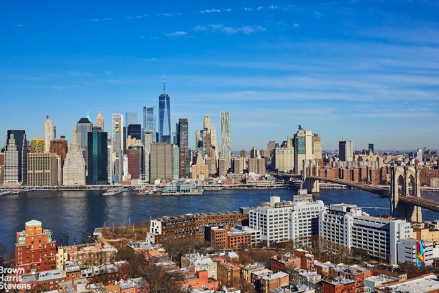 75 Henry St Unit 30K, New York City, NY 11201 - view of city skyline with a notable bridge and a large body of water