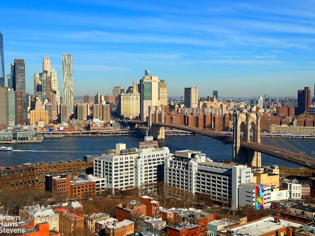 75 Henry St Unit 30K, New York City, NY 11201 - view of city skyline featuring a notable bridge and a nearby body of water