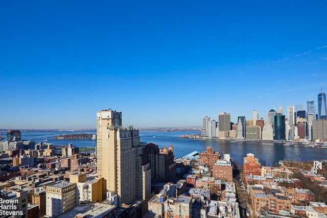 75 Henry St Unit 30K, New York City, NY 11201 - skyline view with a nearby body of water