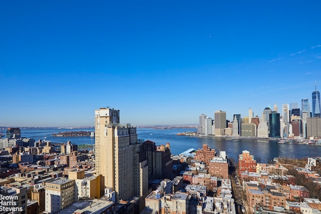 75 Henry St Unit 30K, New York City, NY 11201 - skyline view with a nearby body of water