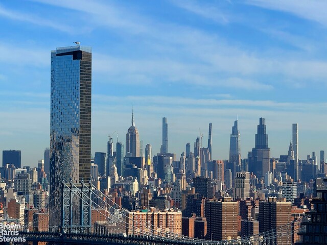 75 Henry St Unit 30K, New York City, NY 11201 - skyline view