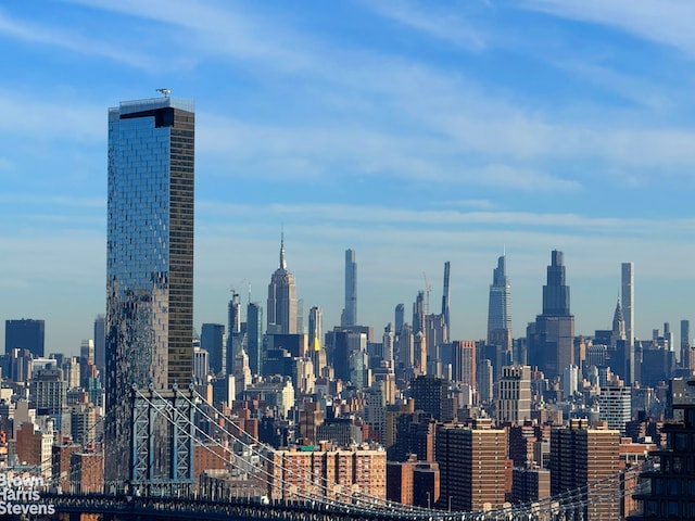 75 Henry St Unit 30K, New York City, NY 11201 - skyline view