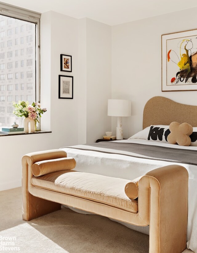 150 Columbus Ave Unit 18F, New York City, NY 10023 - view of carpeted bedroom
