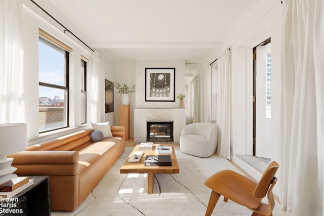 living area featuring a premium fireplace