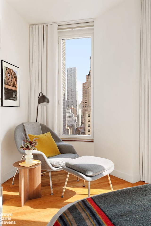 15 William St Unit 33I, New York City, NY 10004 - sitting room featuring a skyline view, wood finished floors, and baseboards