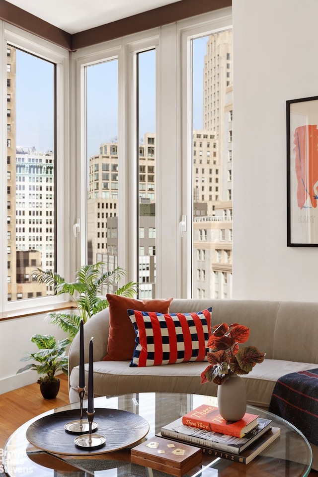 15 William St Unit 33I, New York City, NY 10004 - living room featuring a city view and wood finished floors