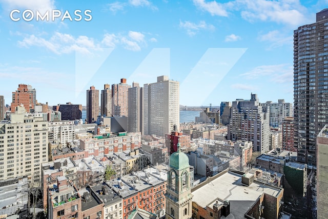 401 E 86th St Unit 15C, New York City, NY 10028 - view of city skyline