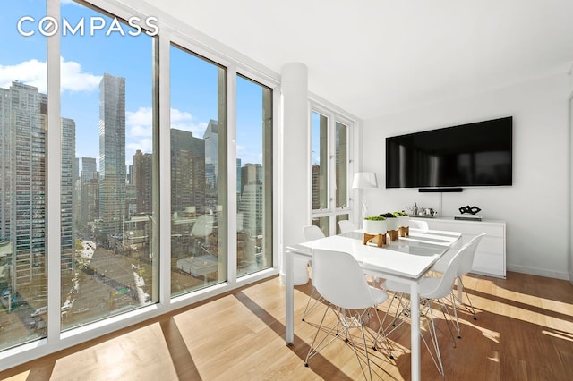 301 E 61st St Unit 16A, New York City, NY 10065 - view of sunroom