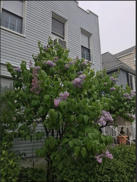 view of side of property