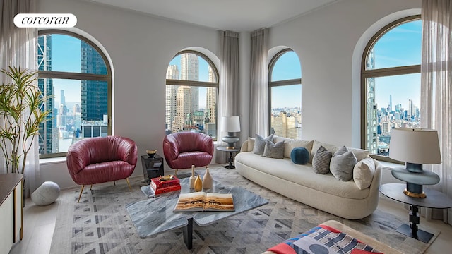 living room featuring a view of skyline and healthy amount of natural light