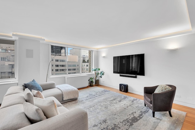 living area with baseboards, radiator heating unit, and wood finished floors