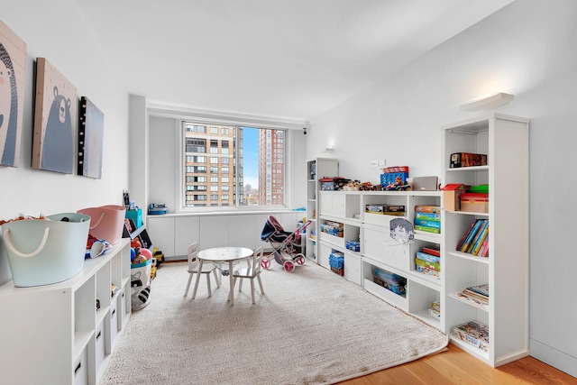 recreation room with wood finished floors