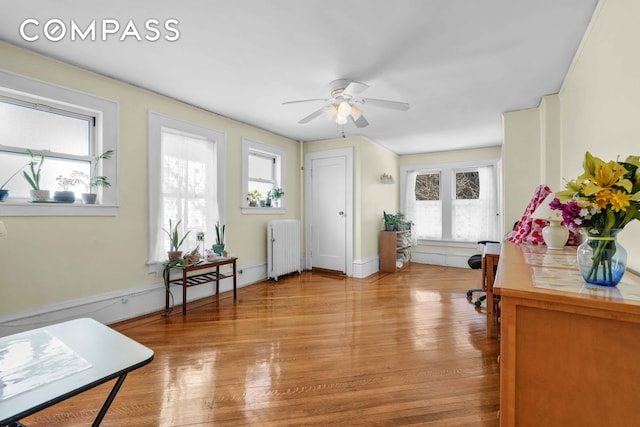 home office featuring radiator heating unit, plenty of natural light, ceiling fan, and light wood-style flooring