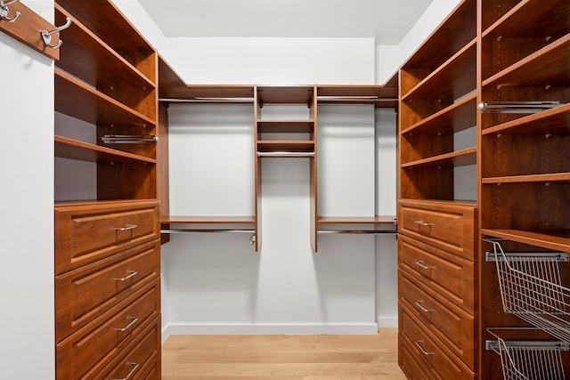 spacious closet featuring light wood finished floors