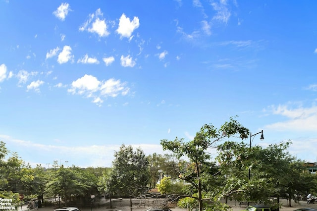 120 Riverside Blvd Unit 3N, New York City, NY 10069 - view of undeveloped land