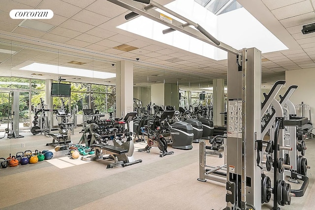 gym with carpet flooring