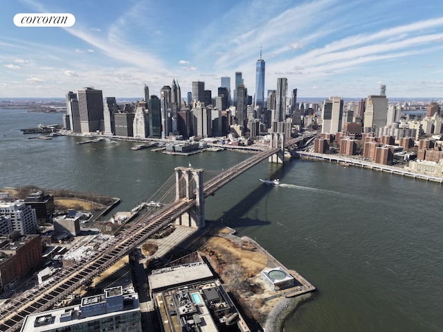aerial view of a skyline view, a nearby body of water, and a notable bridge