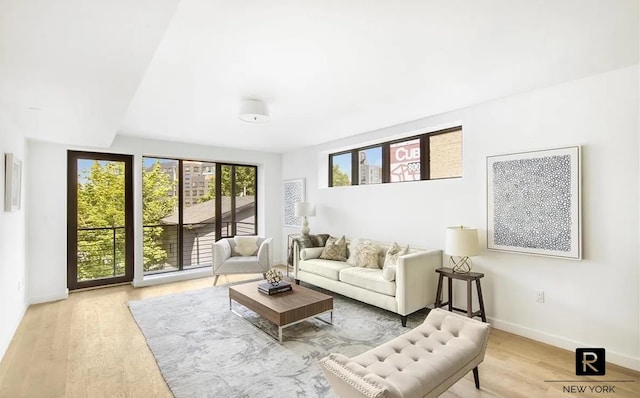 873 Pacific St Unit 2-B, New York City, NY 11238 - living room featuring wood finished floors and baseboards