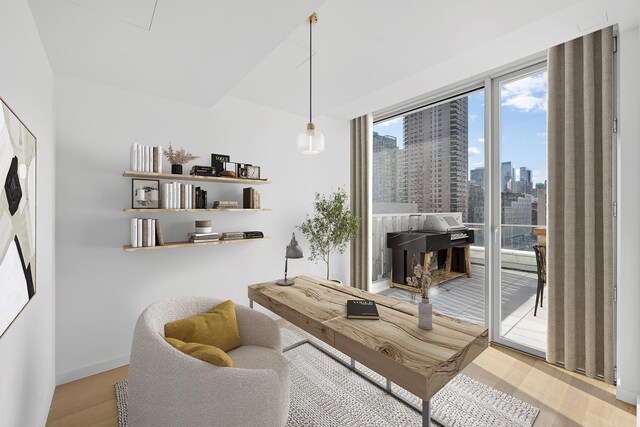 living area featuring wood finished floors, a view of skyline, and baseboards
