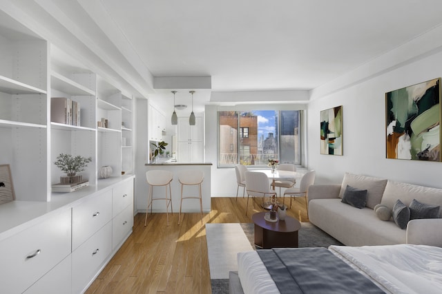 living area featuring light wood-style floors