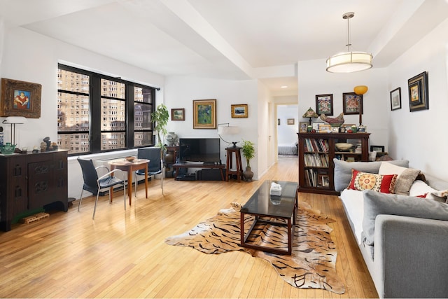 living room featuring hardwood / wood-style floors