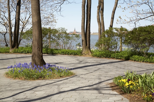 view of home's community featuring a water view