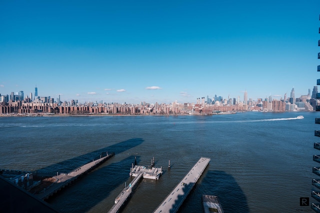 22 N 6th St Unit 20-D, New York City, NY 11249 - water view with skyline and a dock