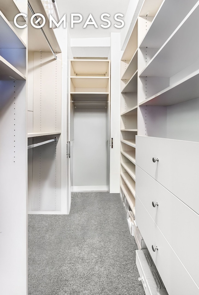 walk in closet with carpet