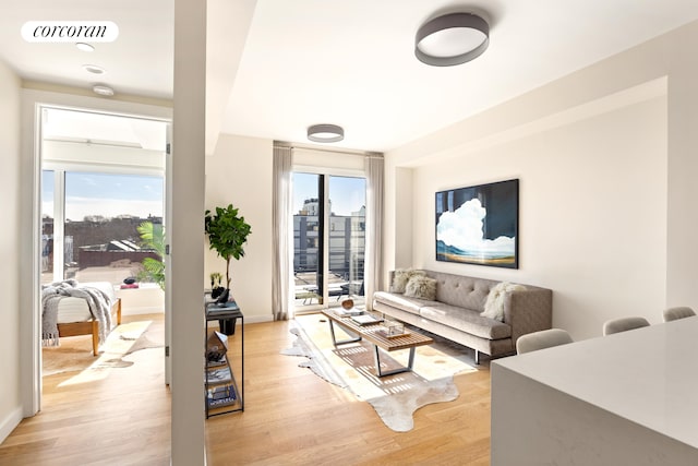 236 17th St Unit 6C, New York City, NY 11215 - living room featuring light wood-style floors