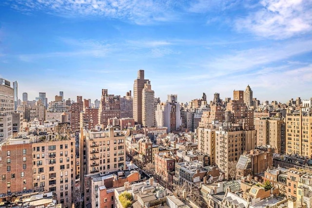 169 E 69th St Unit 19A, New York City, NY 10021 - view of city skyline