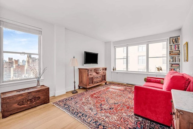 169 E 69th St Unit 19A, New York City, NY 10021 - living area featuring wood finished floors and baseboards