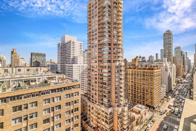 169 E 69th St Unit 19A, New York City, NY 10021 - view of city skyline