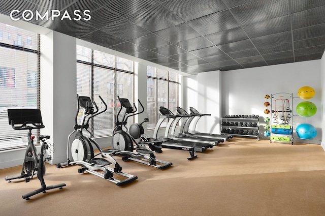 exercise room featuring plenty of natural light, carpet floors, and baseboards