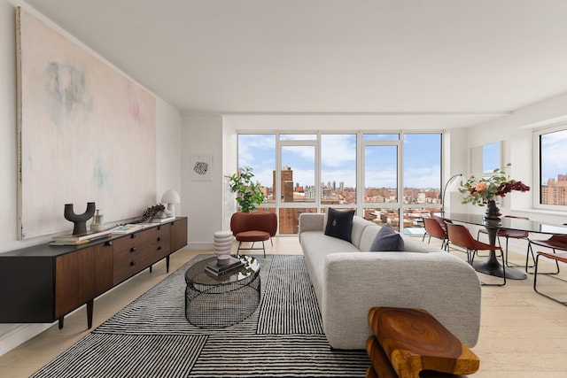 living room featuring a city view and light wood-type flooring