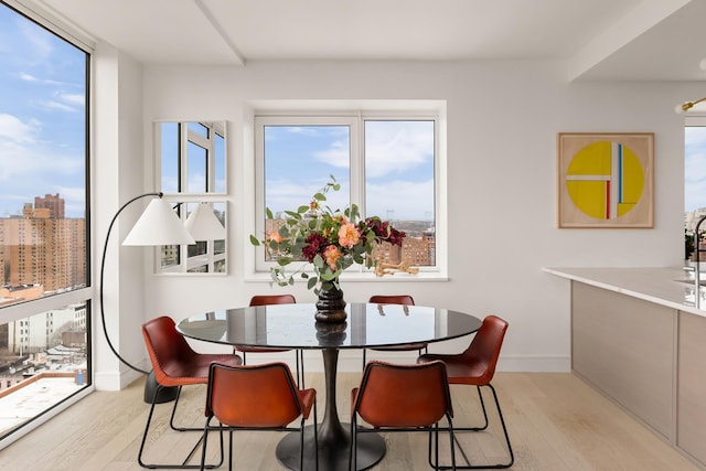 dining space featuring baseboards and light wood-style floors