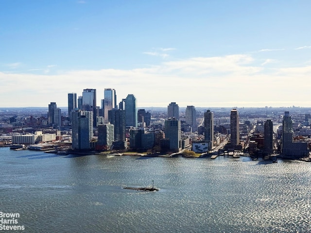 330 E 38th St Unit 51Ef, New York City, NY 10016 - view of city skyline with a large body of water