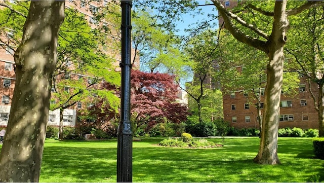 235 Adams St Unit 6A, New York City, NY 11201 - view of property's community with a lawn