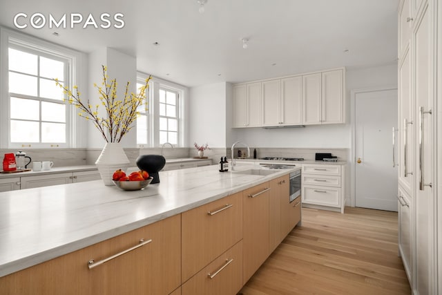 kitchen featuring light wood finished floors, a sink, light stone counters, and white cabinetry