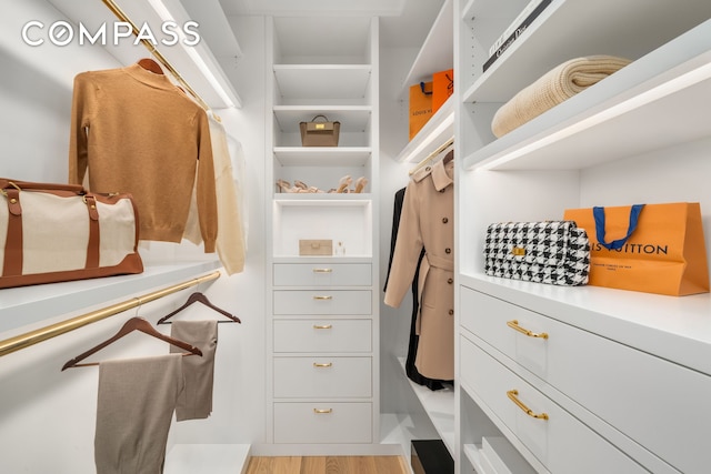 spacious closet featuring light wood-type flooring