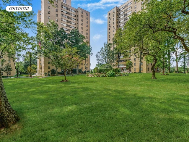 view of community with a yard
