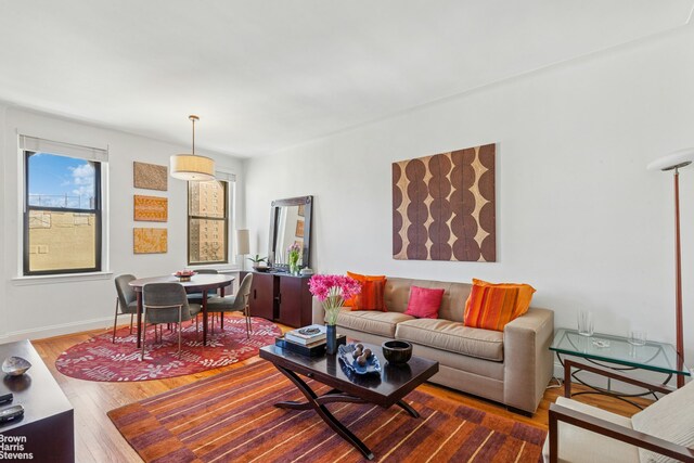 living area featuring baseboards and wood finished floors