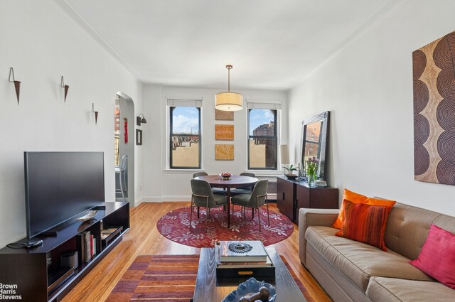 living room featuring baseboards, wood finished floors, and arched walkways