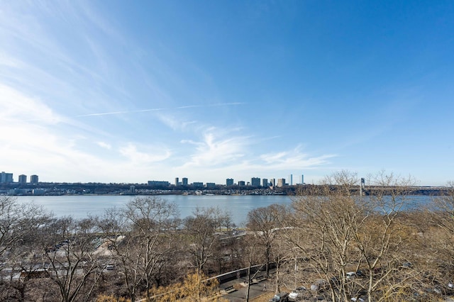 725 Riverside Dr Unit 8-D, New York City, NY 10031 - water view with a view of city