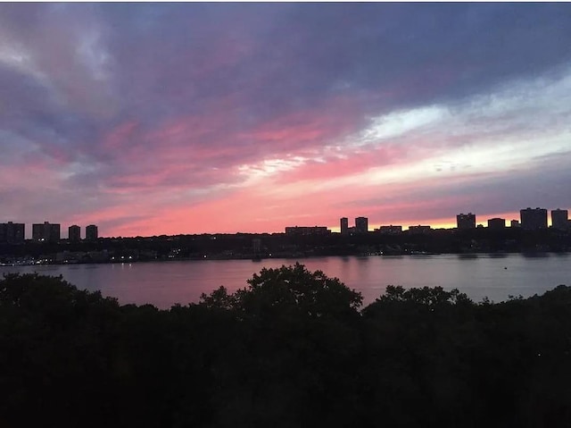 725 Riverside Dr Unit 8-D, New York City, NY 10031 - property view of water featuring a view of city