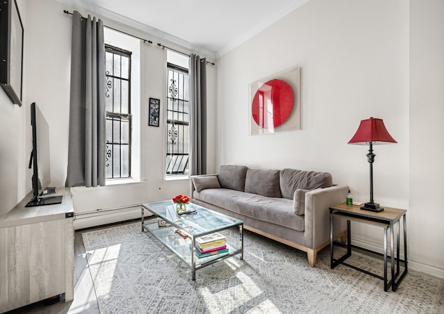 living room with baseboards