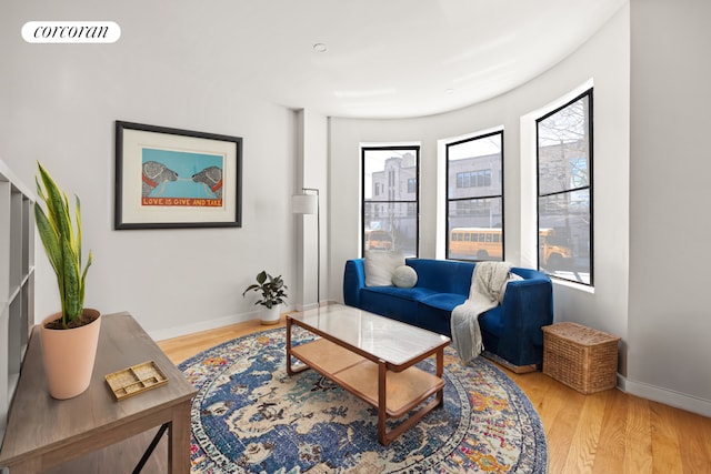 407 Lincoln Rd, New York City, NY 11225 - living area with light wood-style flooring and baseboards