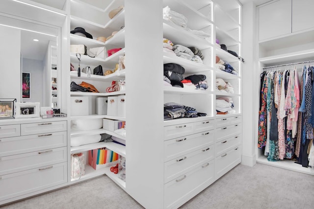 260 Park Ave S Unit 9Bc, New York City, NY 10003 - spacious closet featuring light carpet