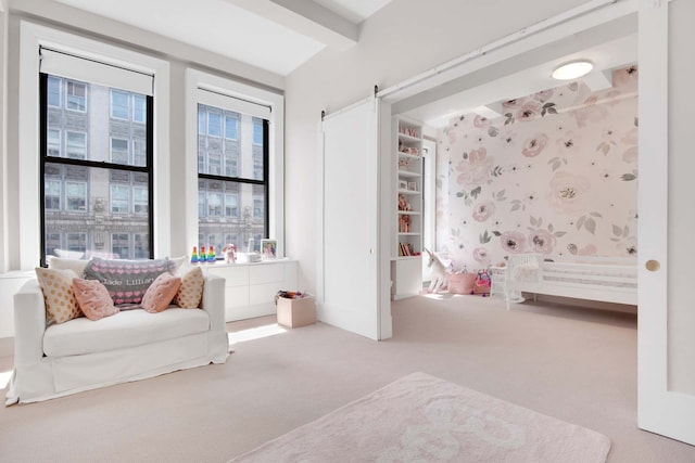260 Park Ave S Unit 9Bc, New York City, NY 10003 - sitting room featuring carpet floors and a barn door