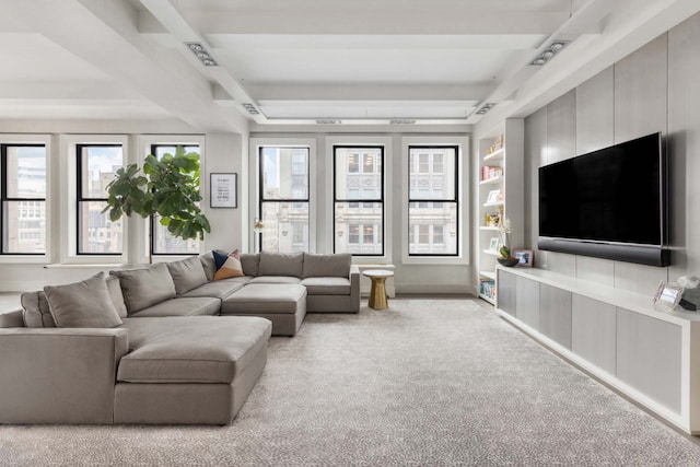 260 Park Ave S Unit 9Bc, New York City, NY 10003 - living area featuring carpet floors