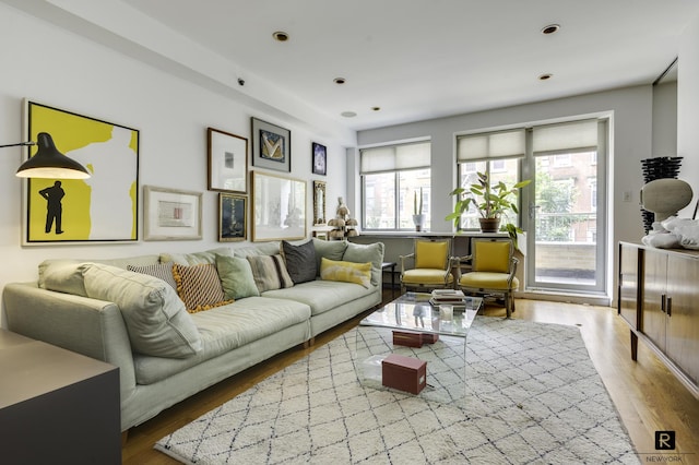 living area with wood finished floors